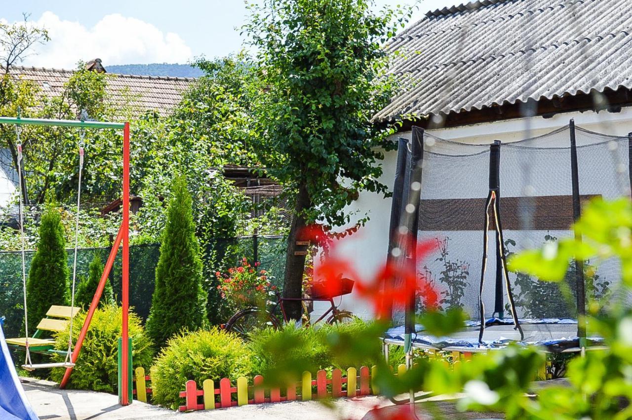 Pensiunea Casa Rica Calimanesti Ngoại thất bức ảnh